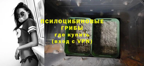 бутират Майский