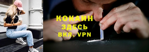 стафф Россошь