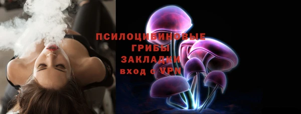 молекула духа Шарыпово