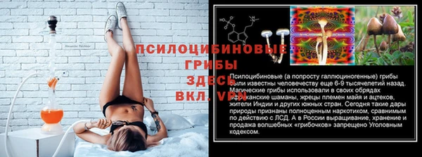 винт Чекалин