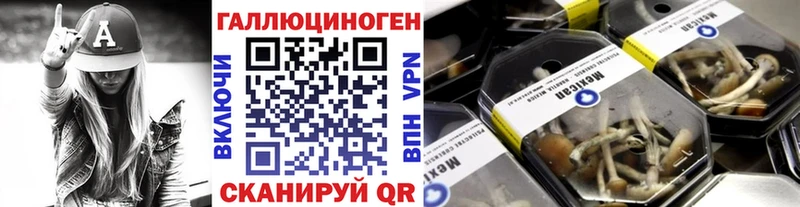 Псилоцибиновые грибы MAGIC MUSHROOMS  Кологрив 