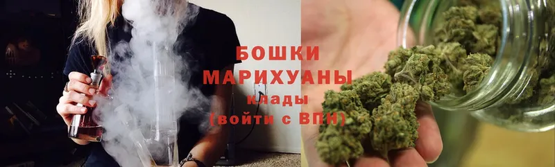 Бошки Шишки SATIVA & INDICA  цены наркотик  Кологрив 